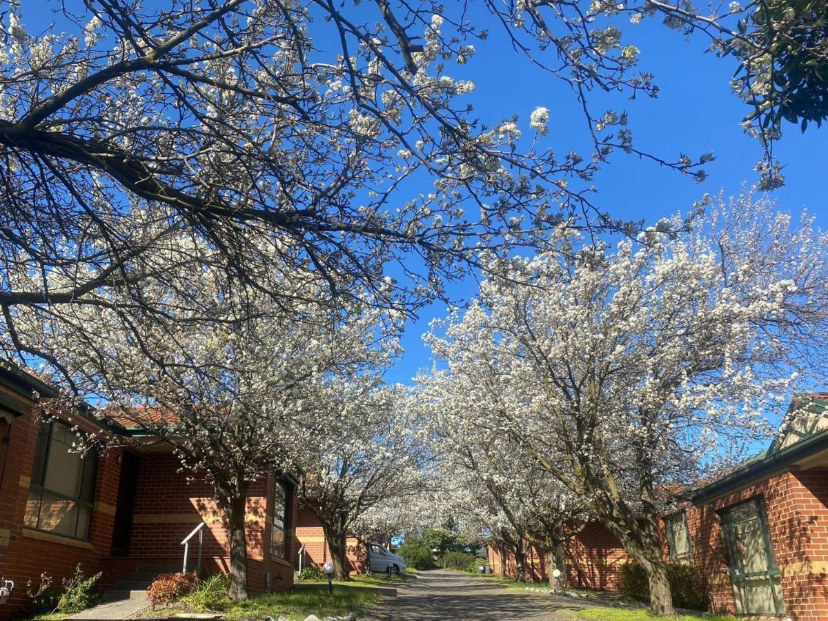 Mount Waverley Townhouses Εξωτερικό φωτογραφία