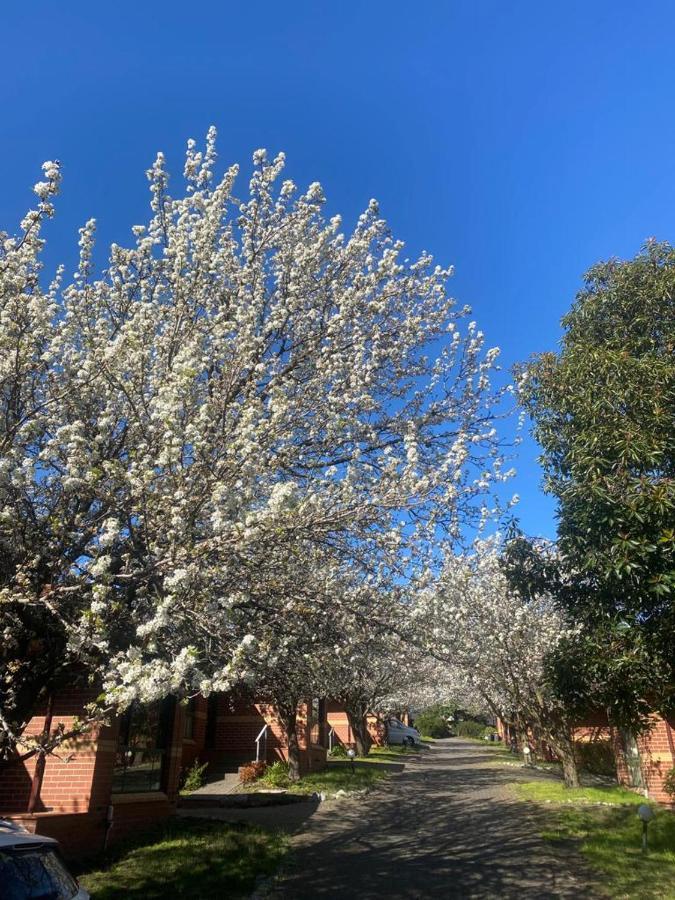 Mount Waverley Townhouses Εξωτερικό φωτογραφία
